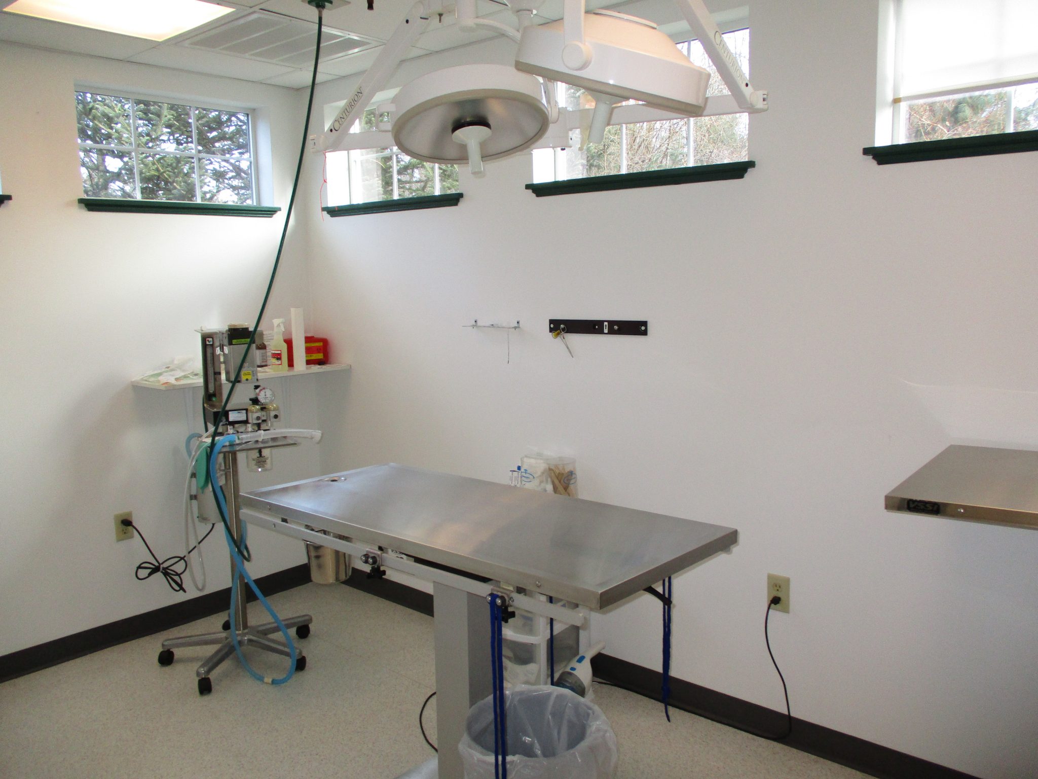 Surgical Suite